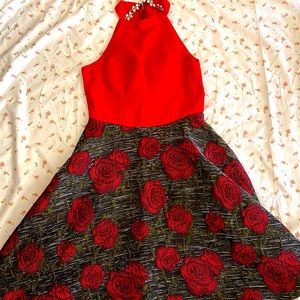Cute Rose Dress - Great for Prom
